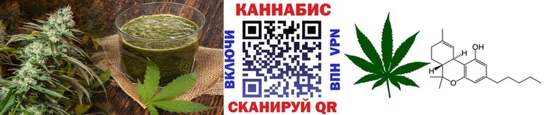 ОМГ ОМГ маркетплейс  цена наркотик  Новодвинск  Cannafood марихуана 