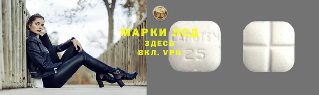Альфа ПВП Новозыбков