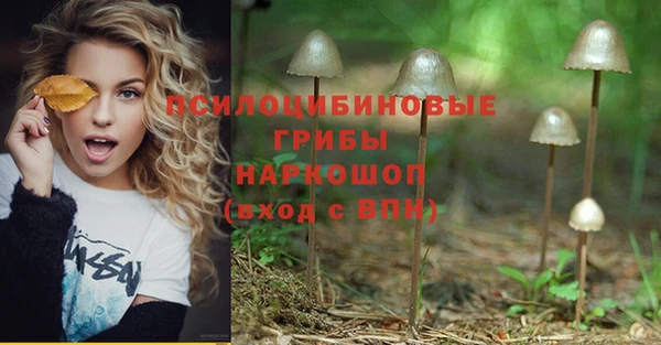 гашиш Новодвинск