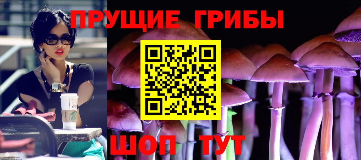 Новодвинск  Галлюциногенные грибы Cubensis  Галлюциногенные грибы MAGIC MUSHROOMS  Вход с VPN 