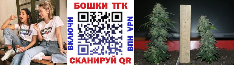 Конопля планчик  Новодвинск 